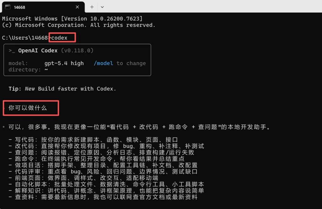 DKAI 中转站覆盖配置后启动 Codex CLI 示例